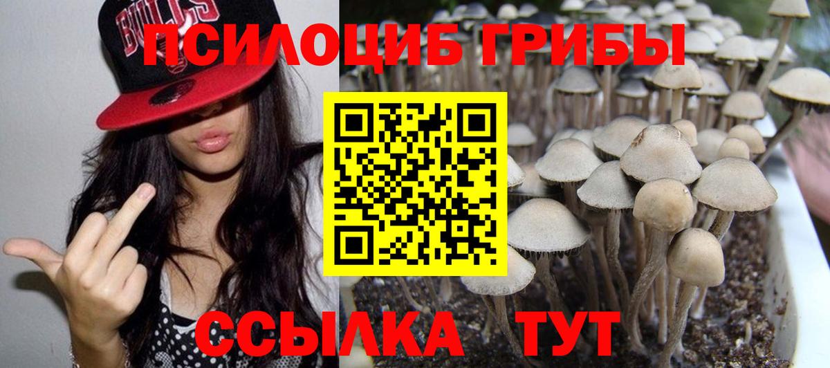 Гай  где найти наркотики  Вход с VPN  Псилоцибиновые грибы MAGIC MUSHROOMS 