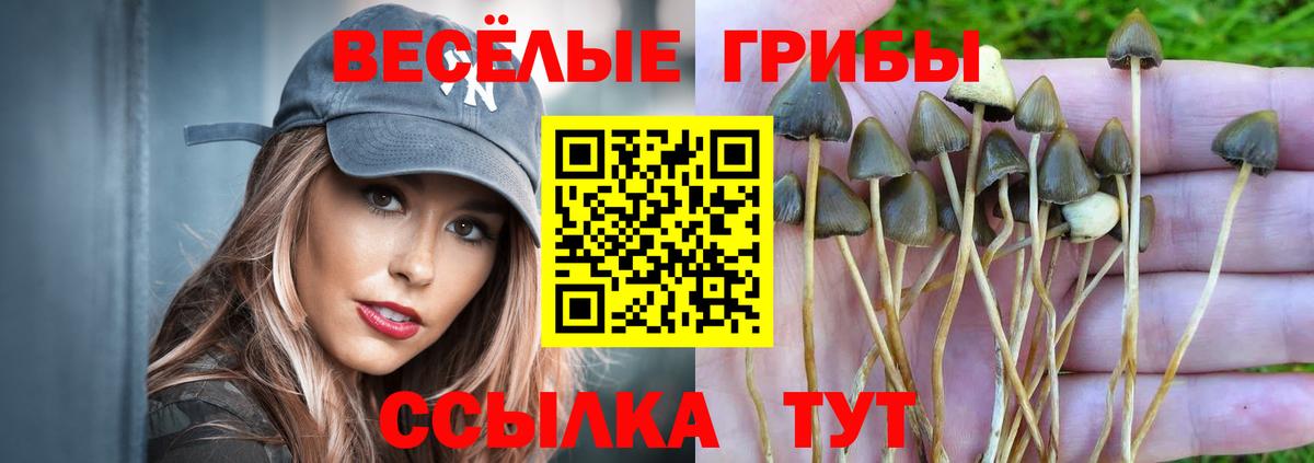 Галлюциногенные грибы прущие грибы Гай