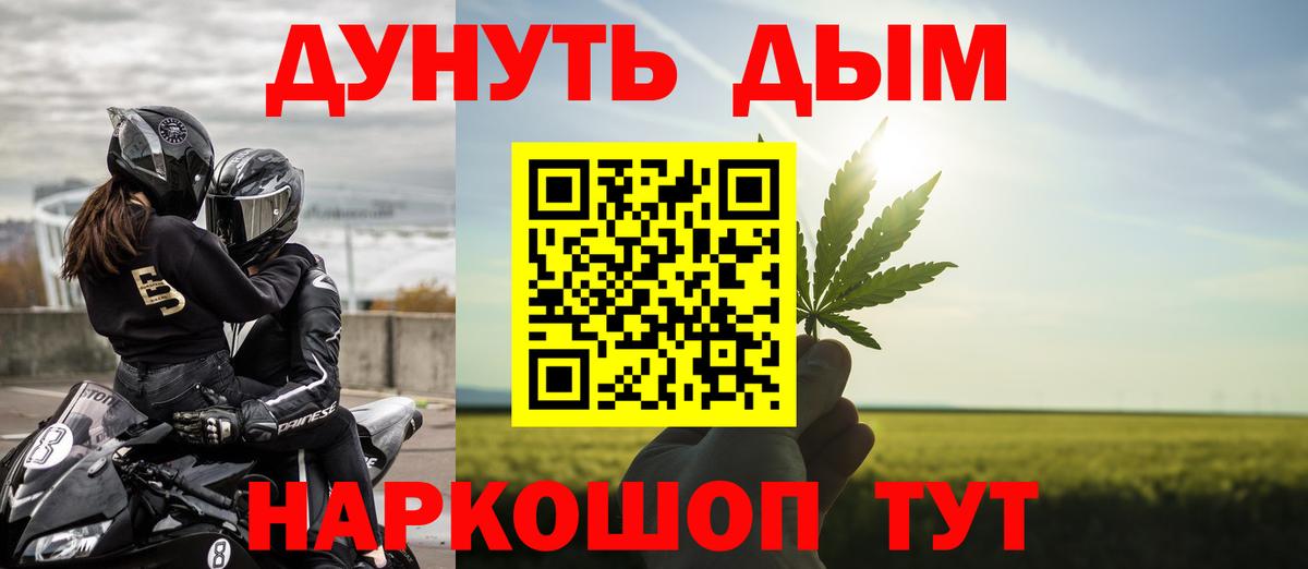 Гай  Бошки Шишки сатива  Вход с VPN  Марихуана план  Конопля план 